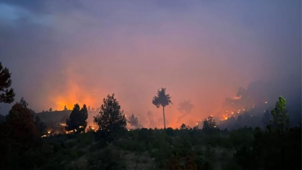 Nallıhan’da Orman Yangını