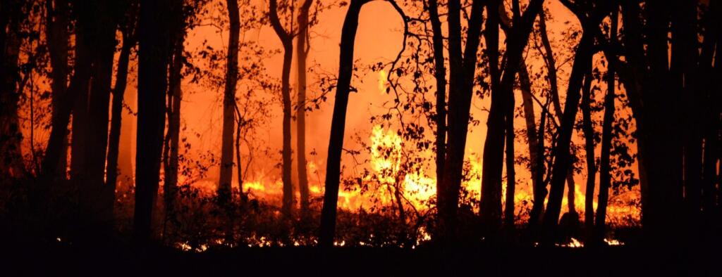 Bakan Yumaklı Yangın Bölgesi Çanakkale’ye Gidiyor